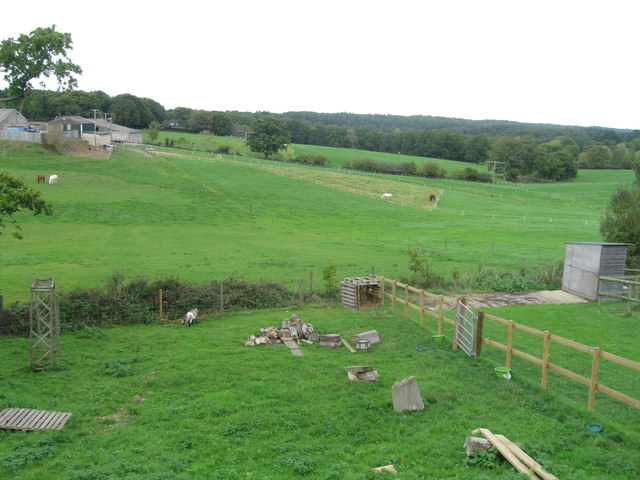 File:Fields behind In-Excess garden centre - geograph.org.uk - 2639642.jpg