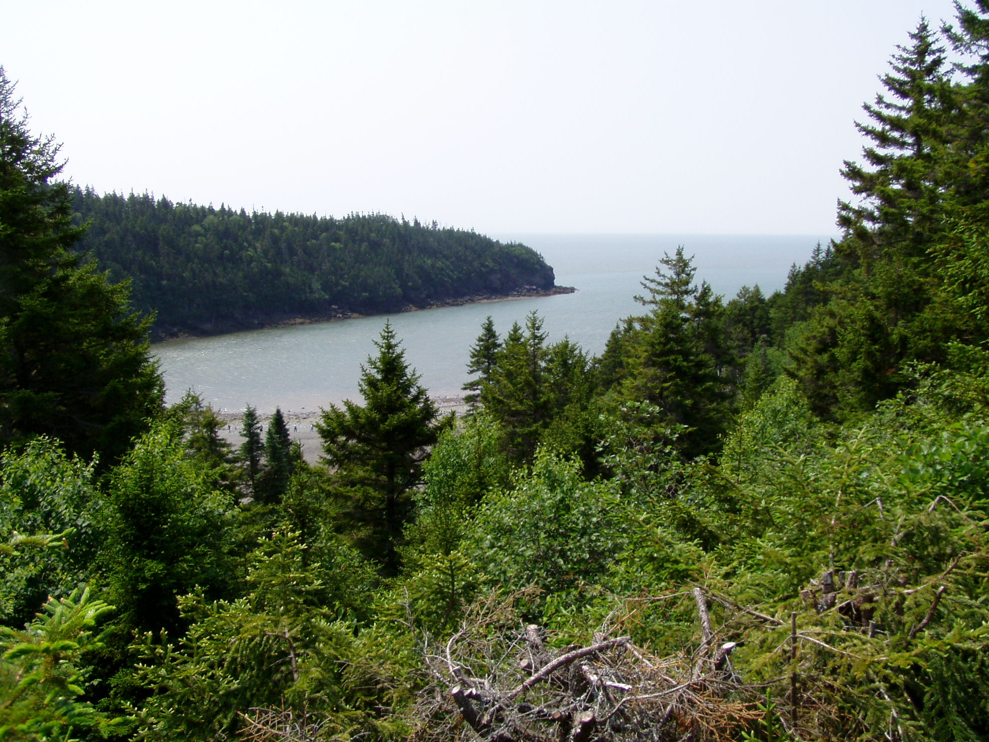 File:Fundy National Park of Canada 1.jpg - Wikimedia Commons