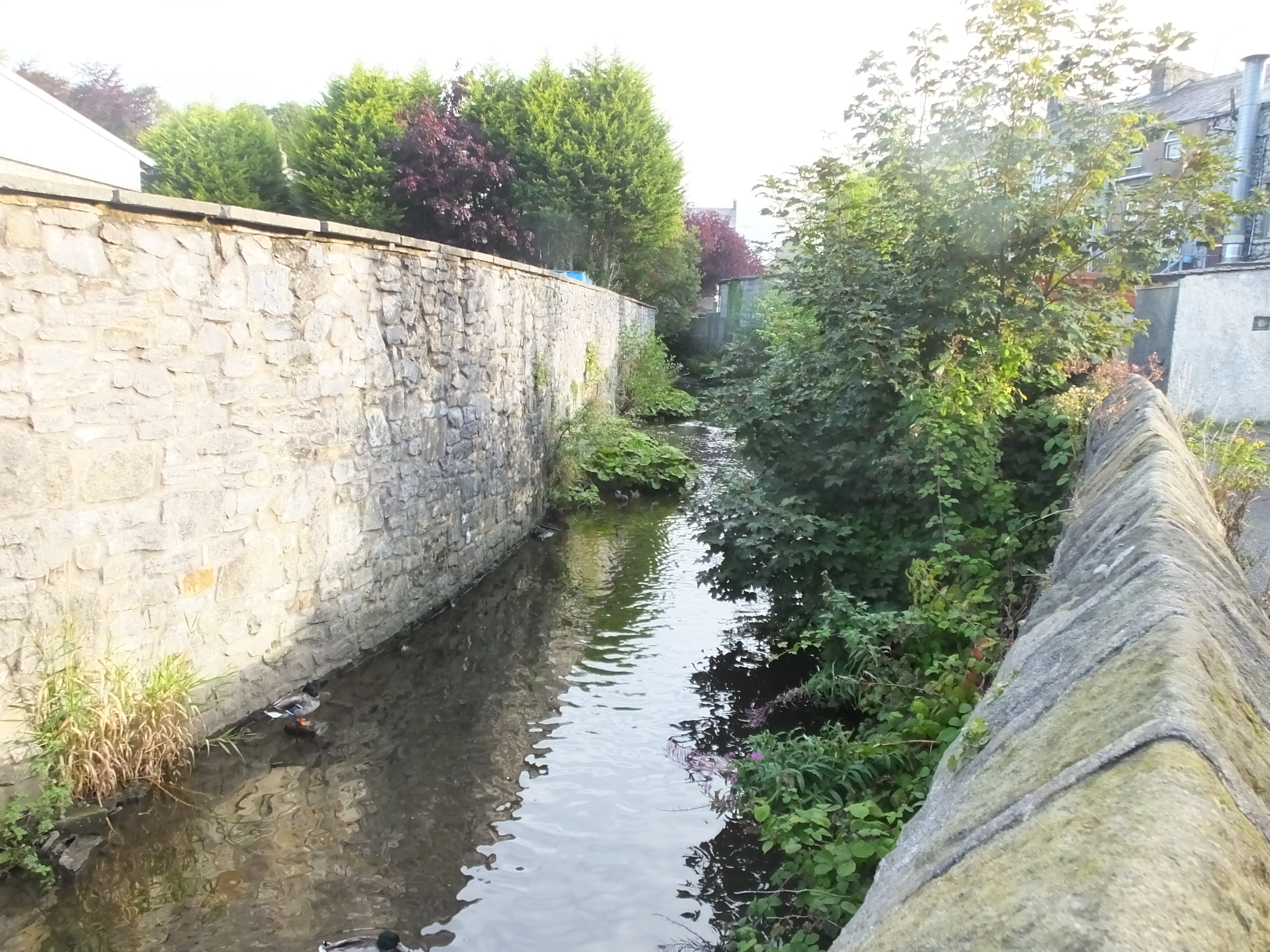 Mearley Brook