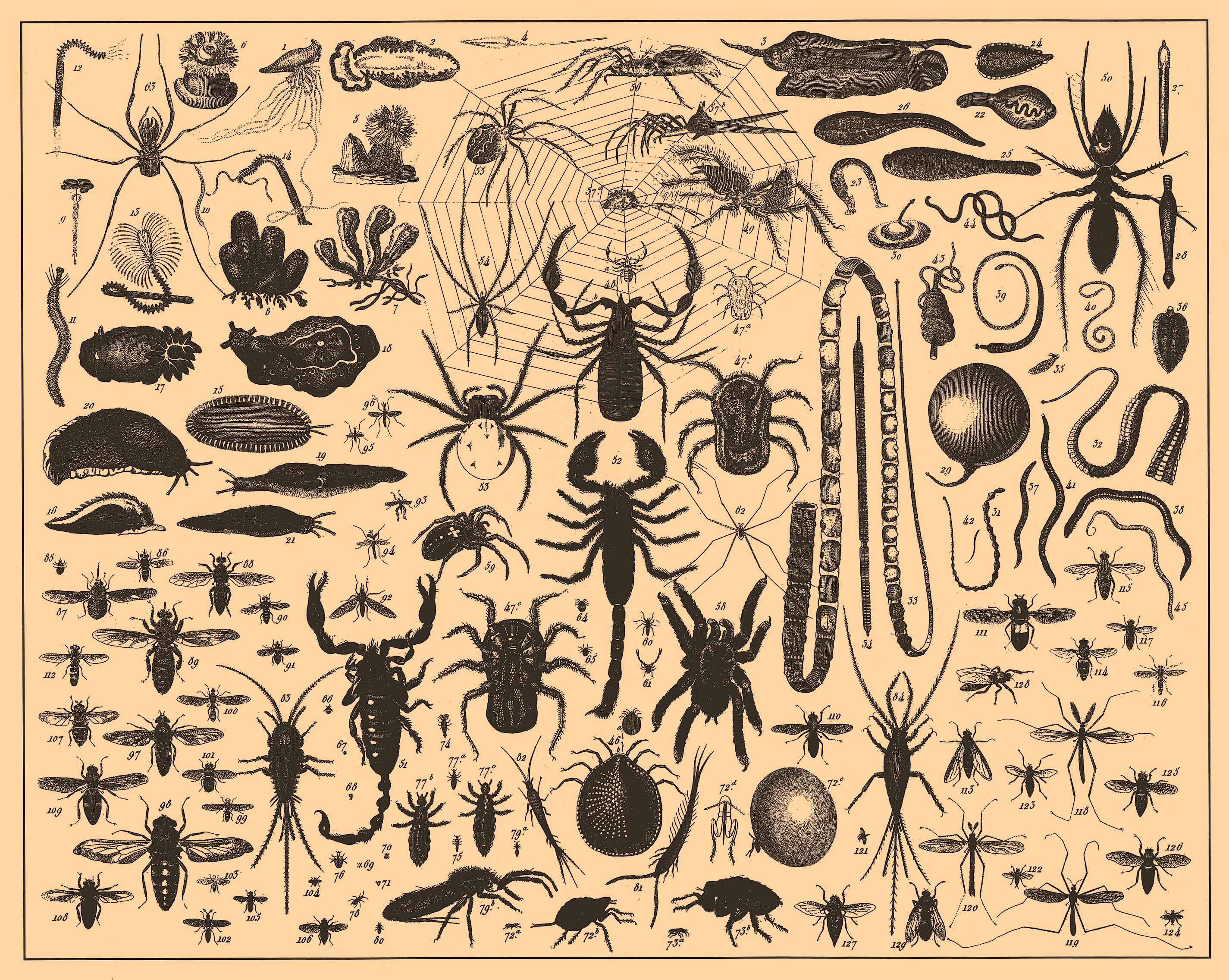 File:Iconographic Encyclopedia of Science, Literature and Art 096.jpg -  Wikimedia Commons