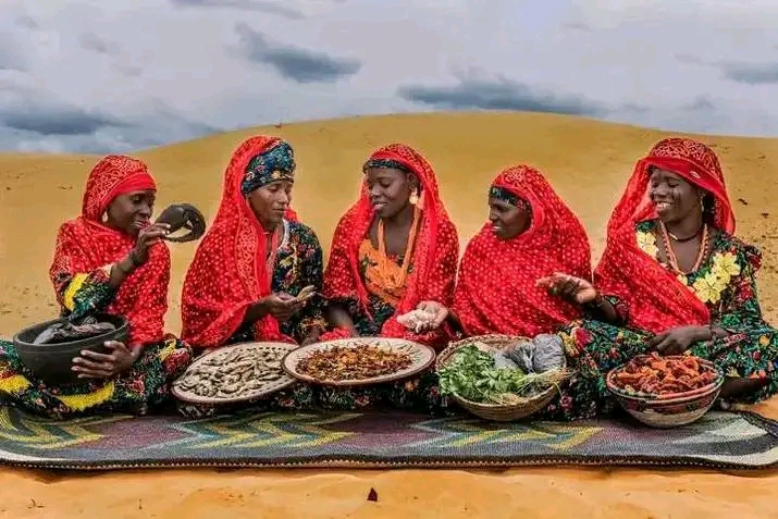 File:Kanuri people.jpg