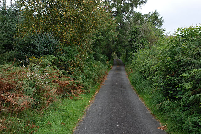 File:Lane heading north from Nant-glas - geograph.org.uk - 947537.jpg