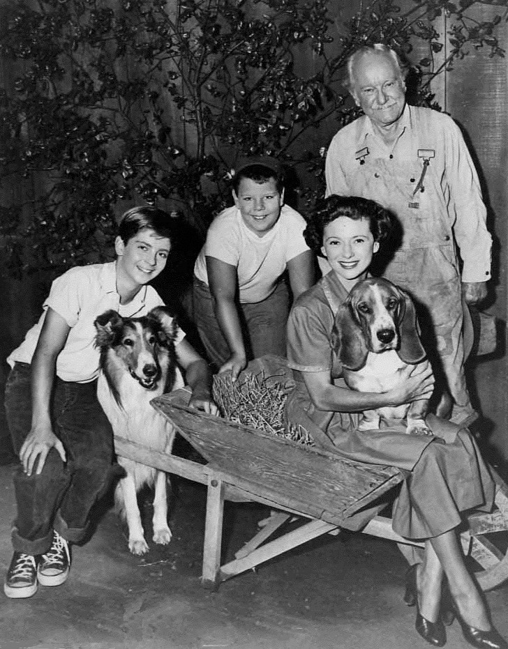 File Lassie Cast Circa 1956 Wikimedia Commons