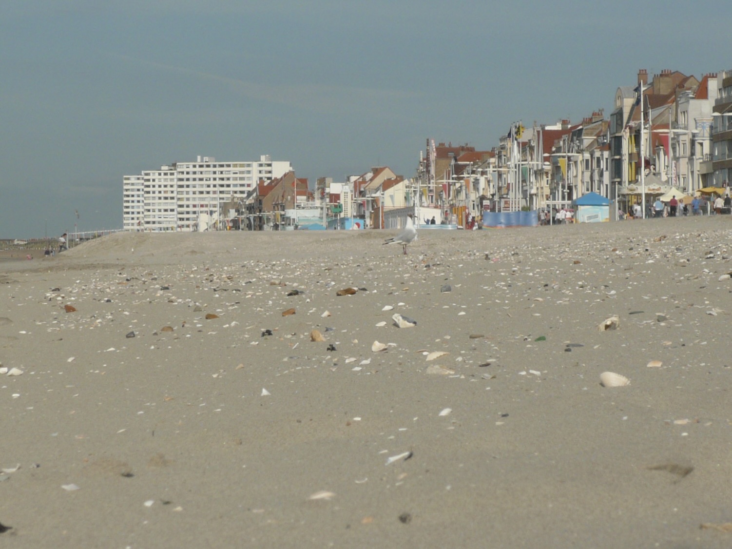 Filep1040394 Plage Malo Les Bainsjpg Wikimedia Commons