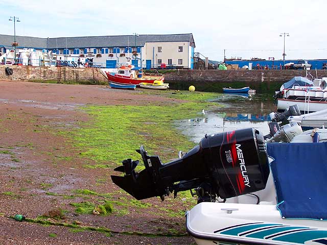 File:Paignton Harbour at low water - geograph.org.uk - 49789.jpg