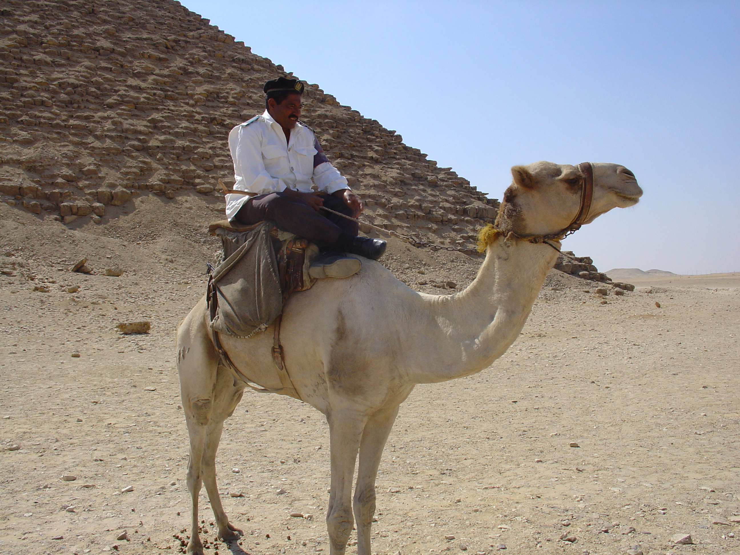 File:Police on a camel in front of the Red Pyramid in Dahshur.jpg ...