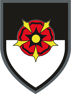 Patch PzGrenBtl 212 Tarn Panzergrenadier Bataillon BW Wappen Abzeichen #23529