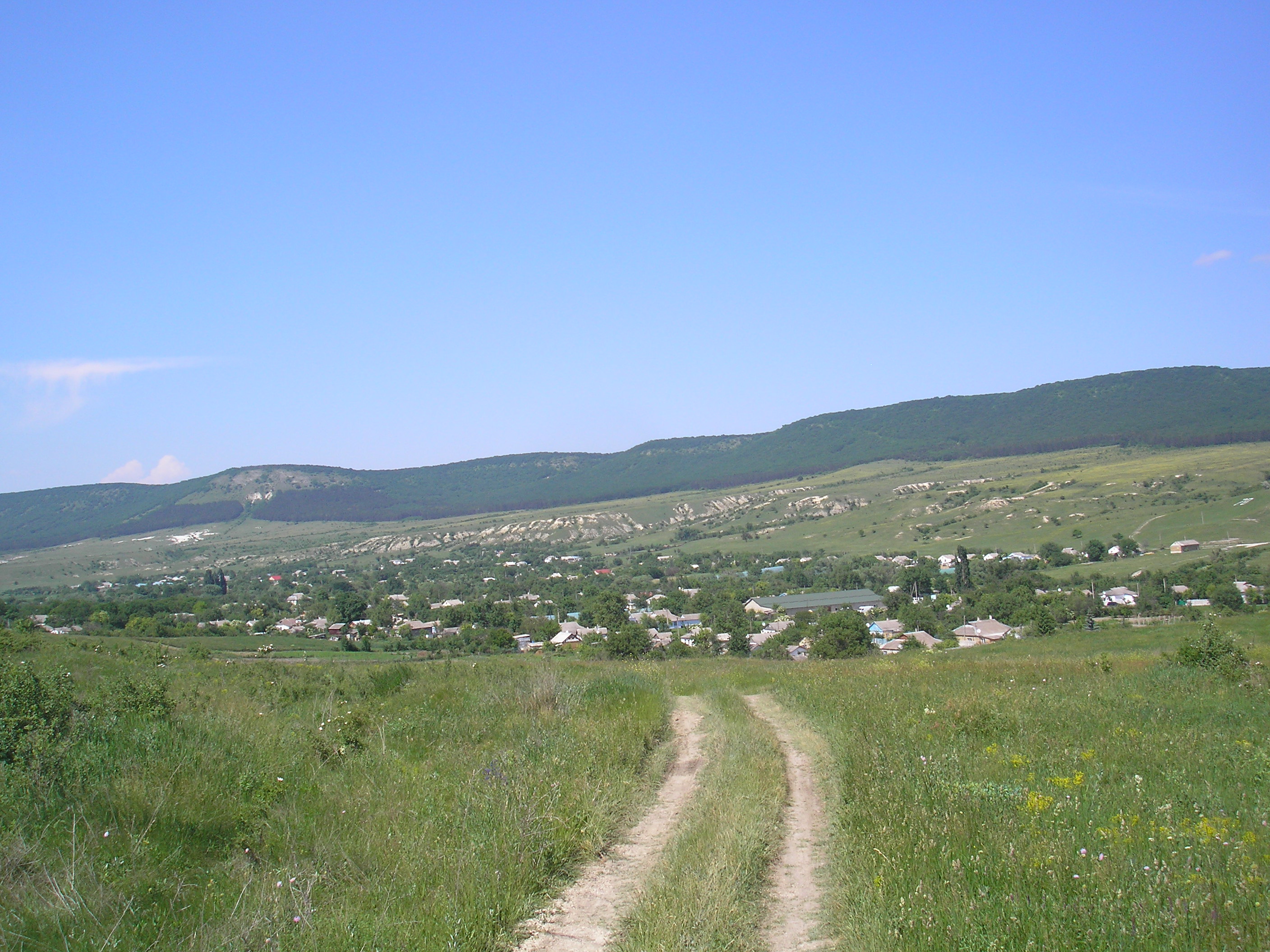 Богатое крым. Село Мичуринское Крым.