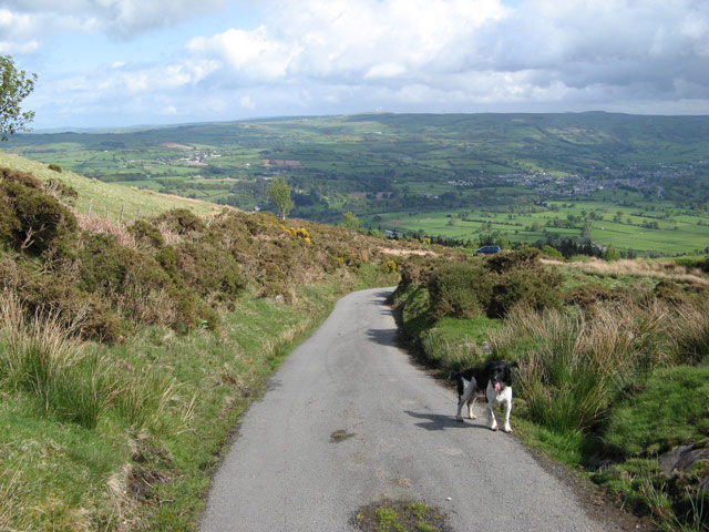 File:Road to Trefriw - geograph.org.uk - 1293883.jpg