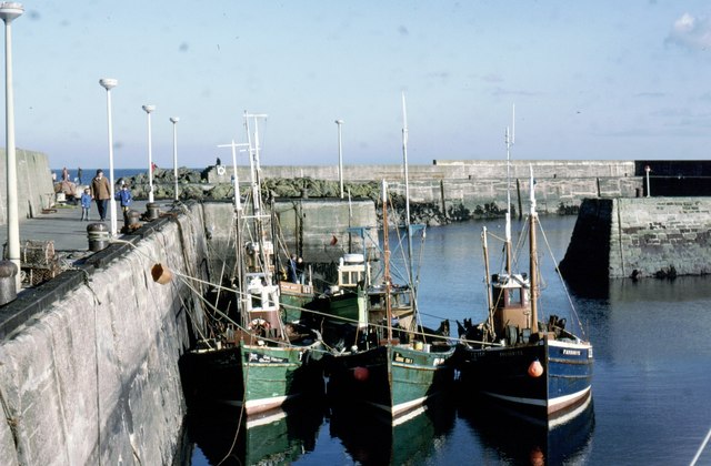 File:St Abb's Harbour - geograph.org.uk - 1014114.jpg