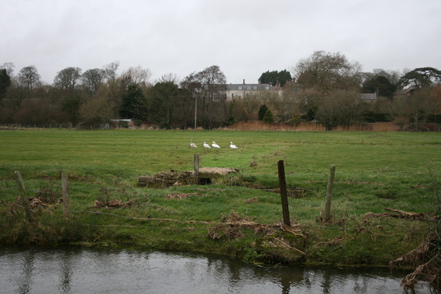 File:Stinsford Meadows - geograph.org.uk - 1558734.jpg