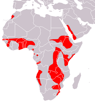 File:Sundevall's Roundleaf Bat area.png