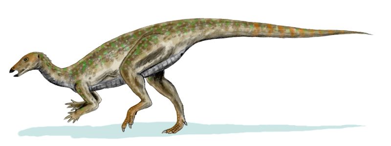 Thescelosaurus - Wikipedia, la enciclopedia libre