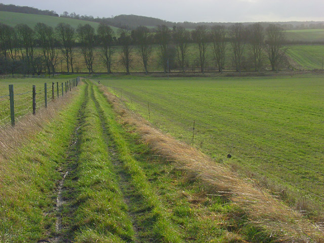 File:Track, Well Place - geograph.org.uk - 627195.jpg