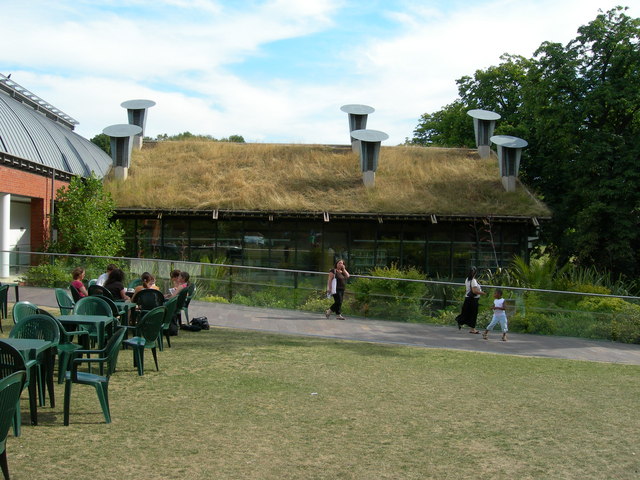 File:Turf Roof, Horniman Museum - geograph.org.uk - 203749.jpg