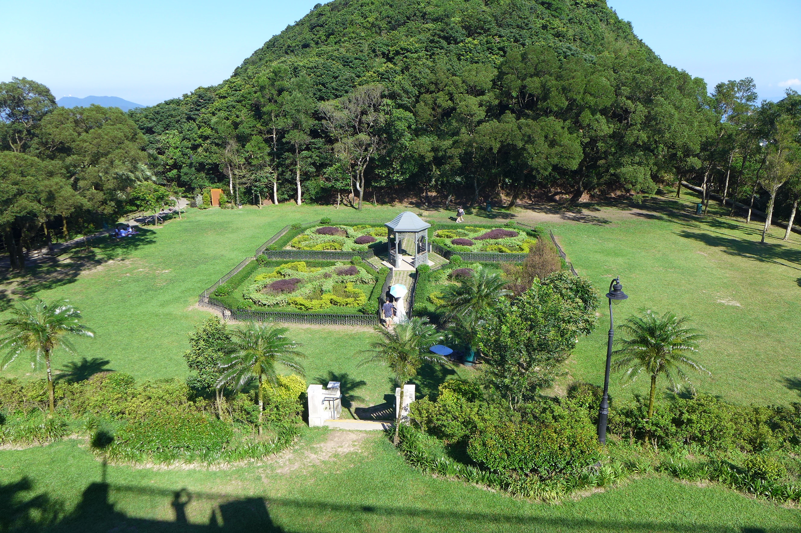 帶狗野餐