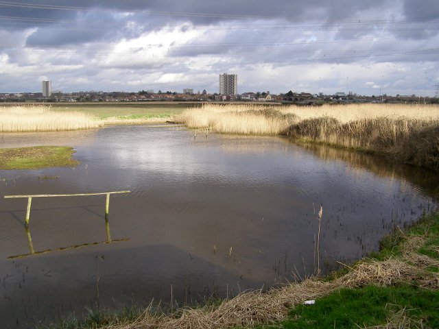 View from birdwatching hide, Lower Test nature reserve - geograph.org.uk - 347439