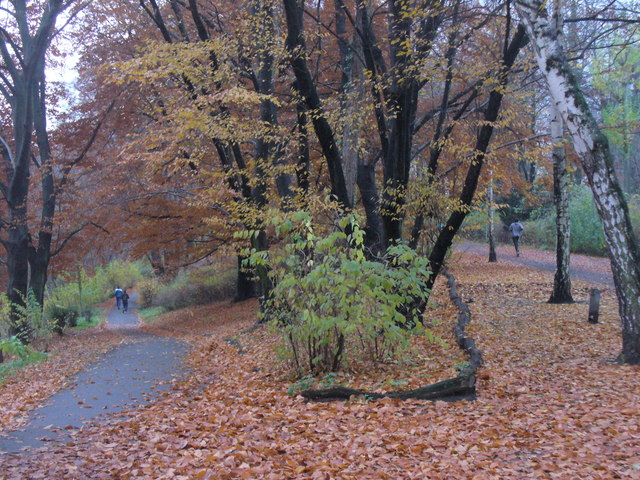 File:Volkspark Wilmersdorf - geo.hlipp.de - 30702.jpg