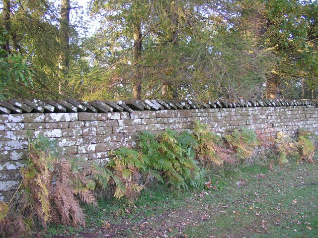 File:Wall near Little Meg, Little Salkeld - geograph.org.uk - 280360.jpg