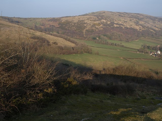 File:Wavering Down - geograph.org.uk - 1219801.jpg