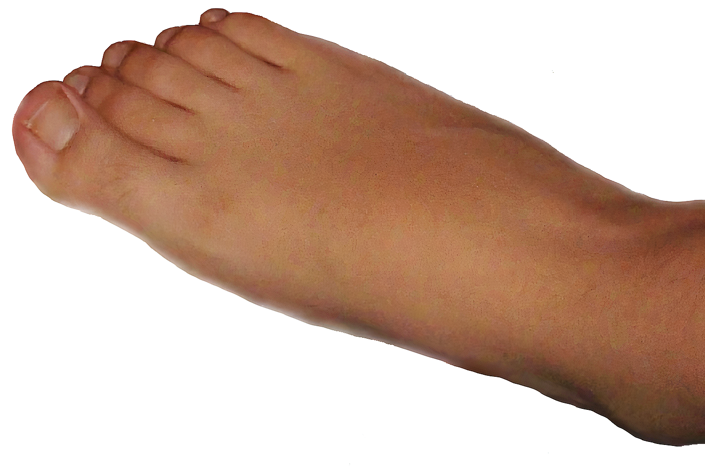 File:Soles of Feet.png - Wikipedia