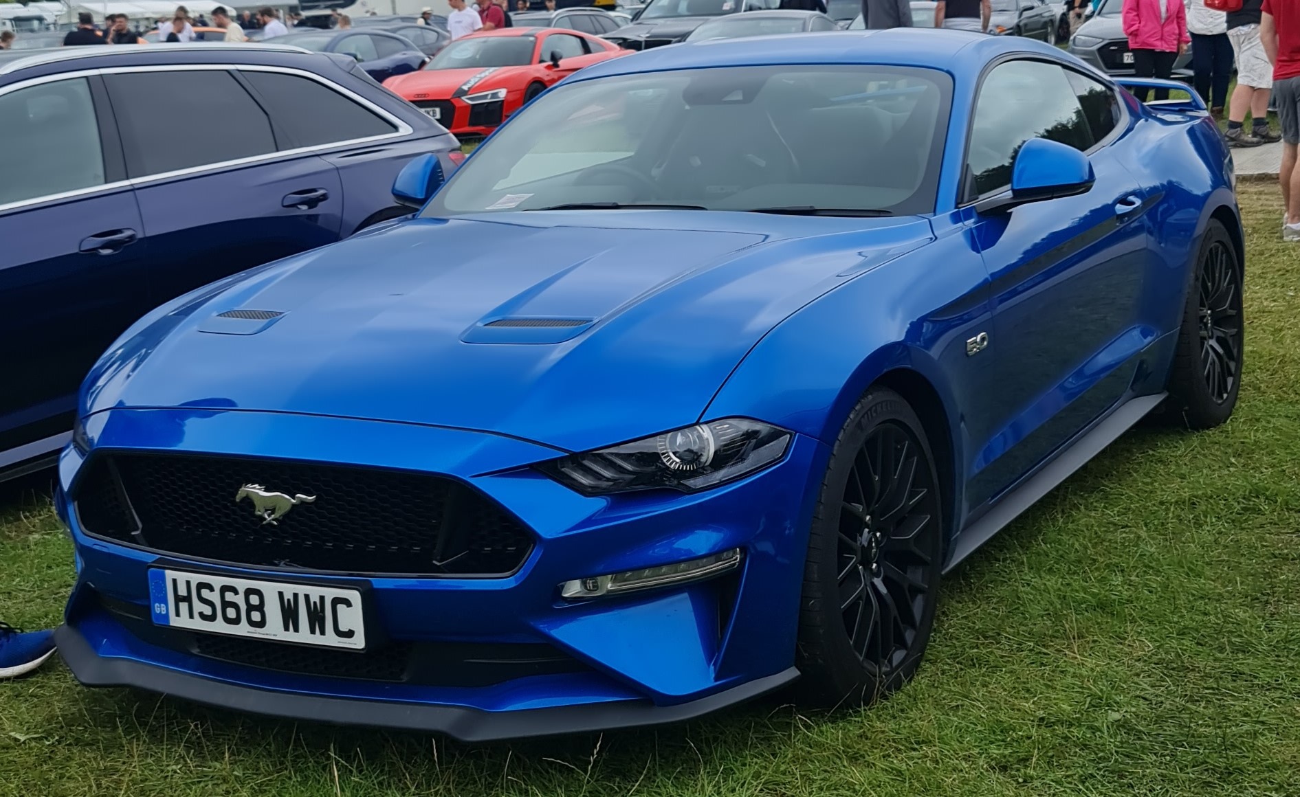 File:2019 Ford Mustang GT Blue.jpg - Wikimedia Commons