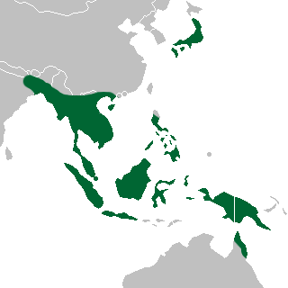 Apostasia (Orchidaceae) - range map