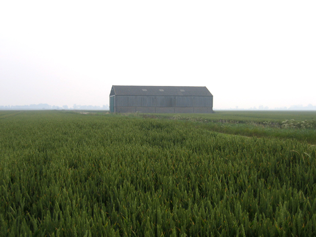 File:Barn in Setchel Fen, Cottenham, Cambs - geograph.org.uk - 275615.jpg