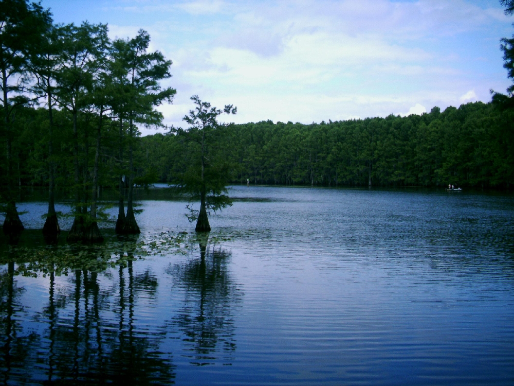 The Mystical World of Caddo Lake