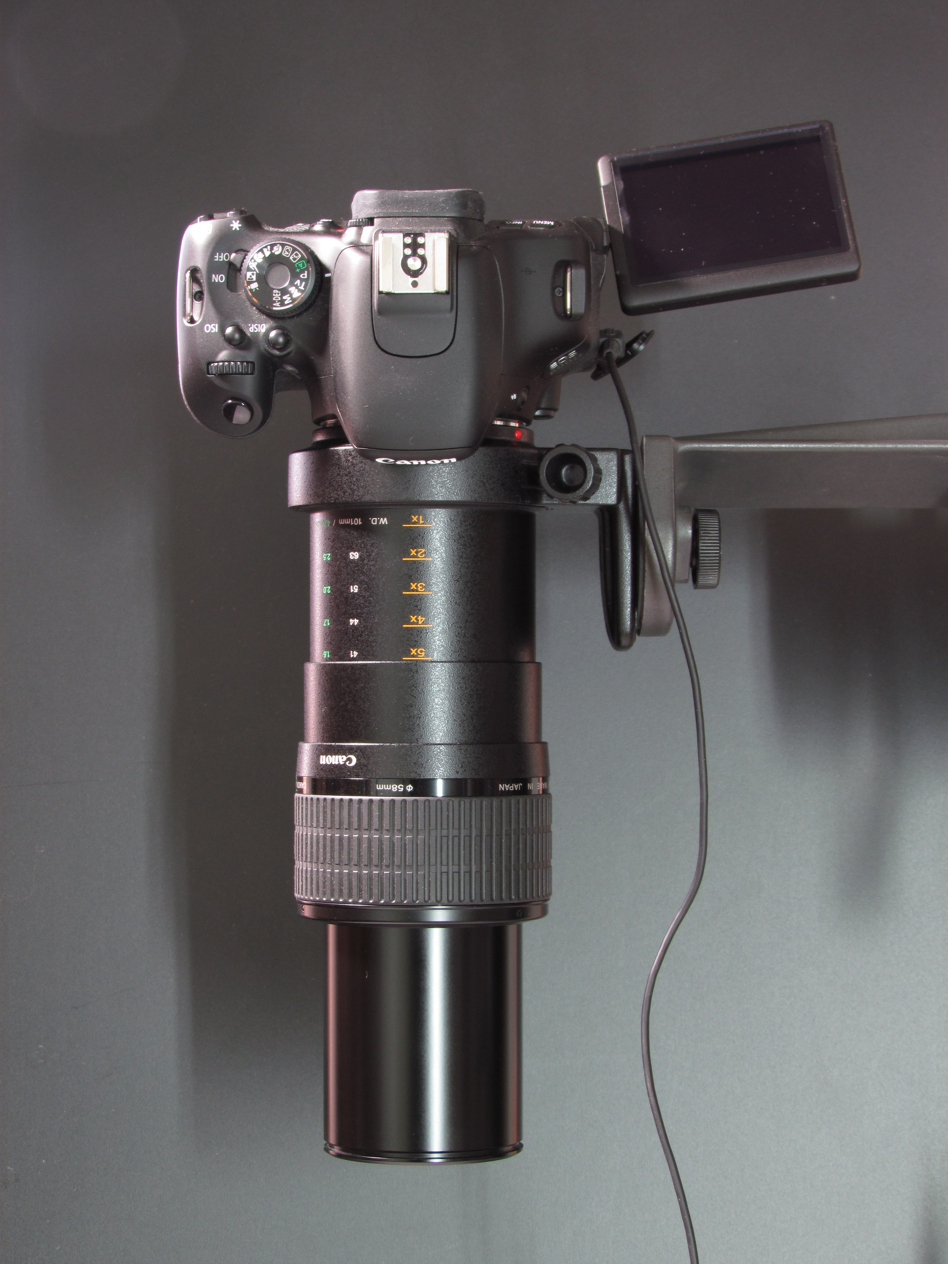File:Canon Objektiv MP-E 65mm mit Kamera EOS (fcm).jpg - Wikimedia Commons