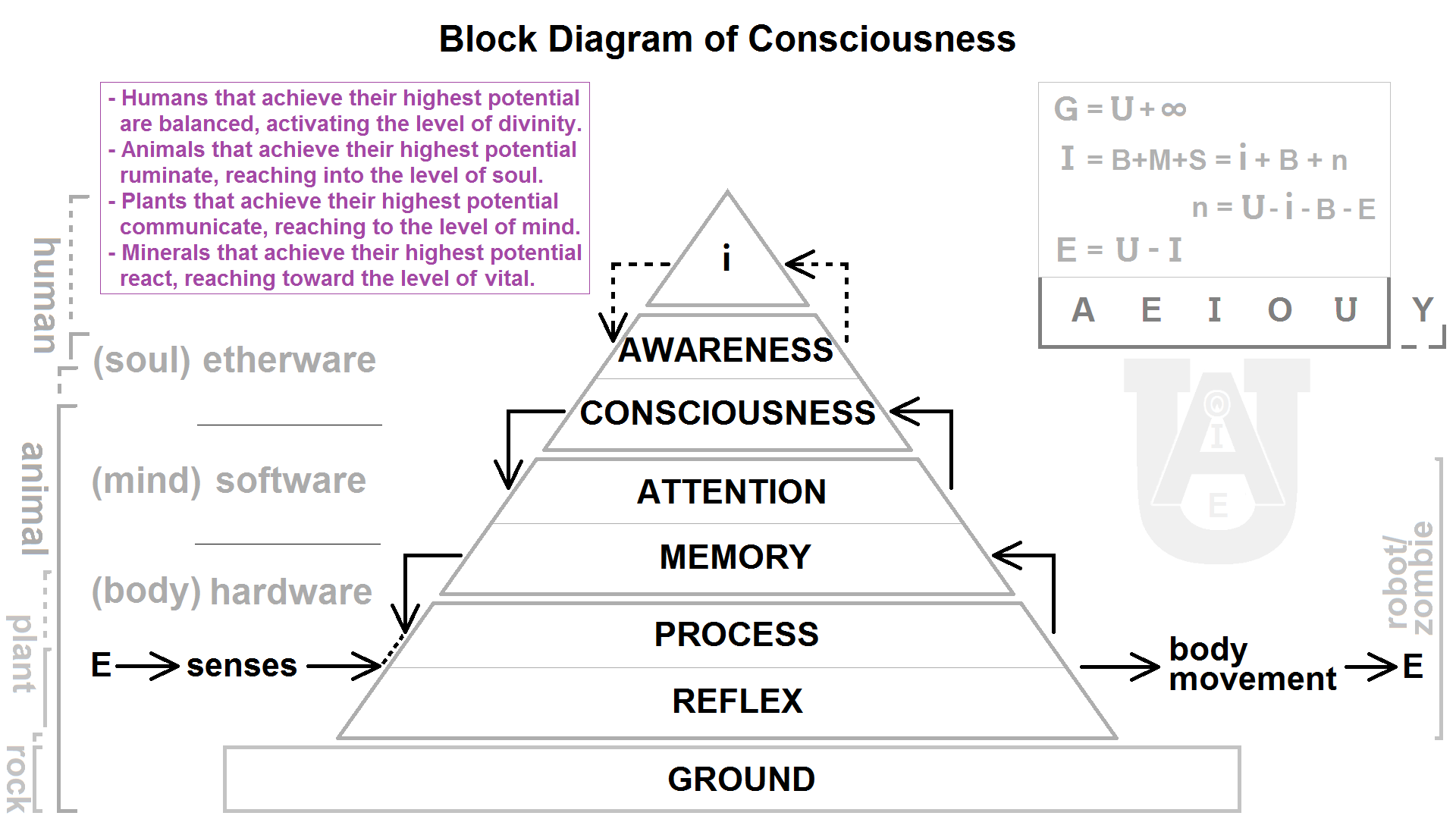 Consciousness перевод. The Mind уровни. Матрица пирамида. Пирамида выбора. Тру structure of self-Consciousness.