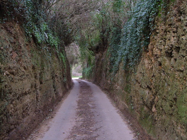 File:Cutting near South Huish - geograph.org.uk - 325601.jpg