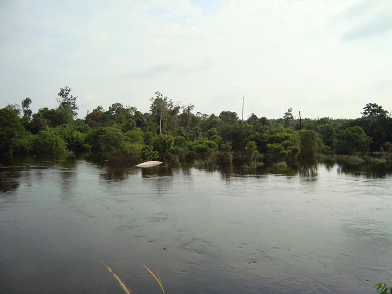 File:Di tepi sungai (97).JPG