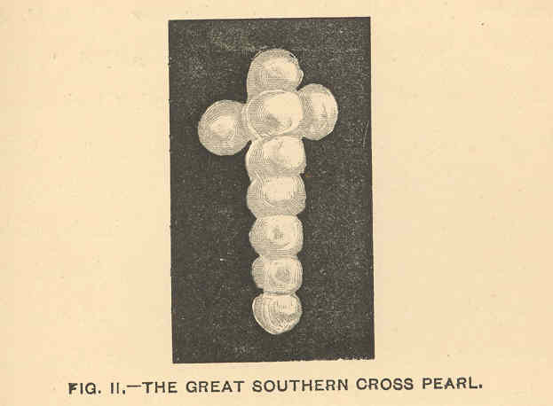 File:FMIB 41273 Great Southern Cross Pearl.jpeg