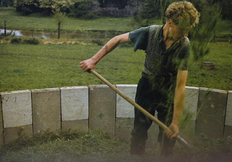 File:Farming in Britain during the Second World War TR960.jpg