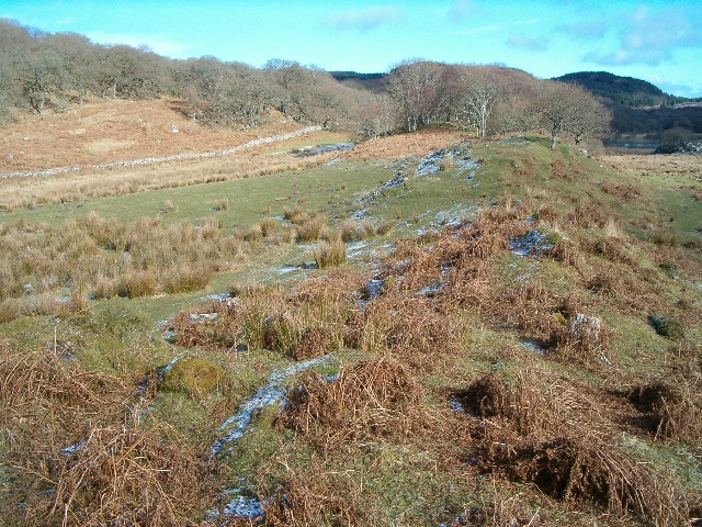 File:Fields and woodland in South Knapdale - geograph.org.uk - 130438.jpg