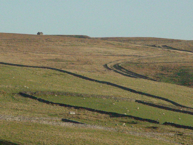 File:Forest Road - geograph.org.uk - 91845.jpg