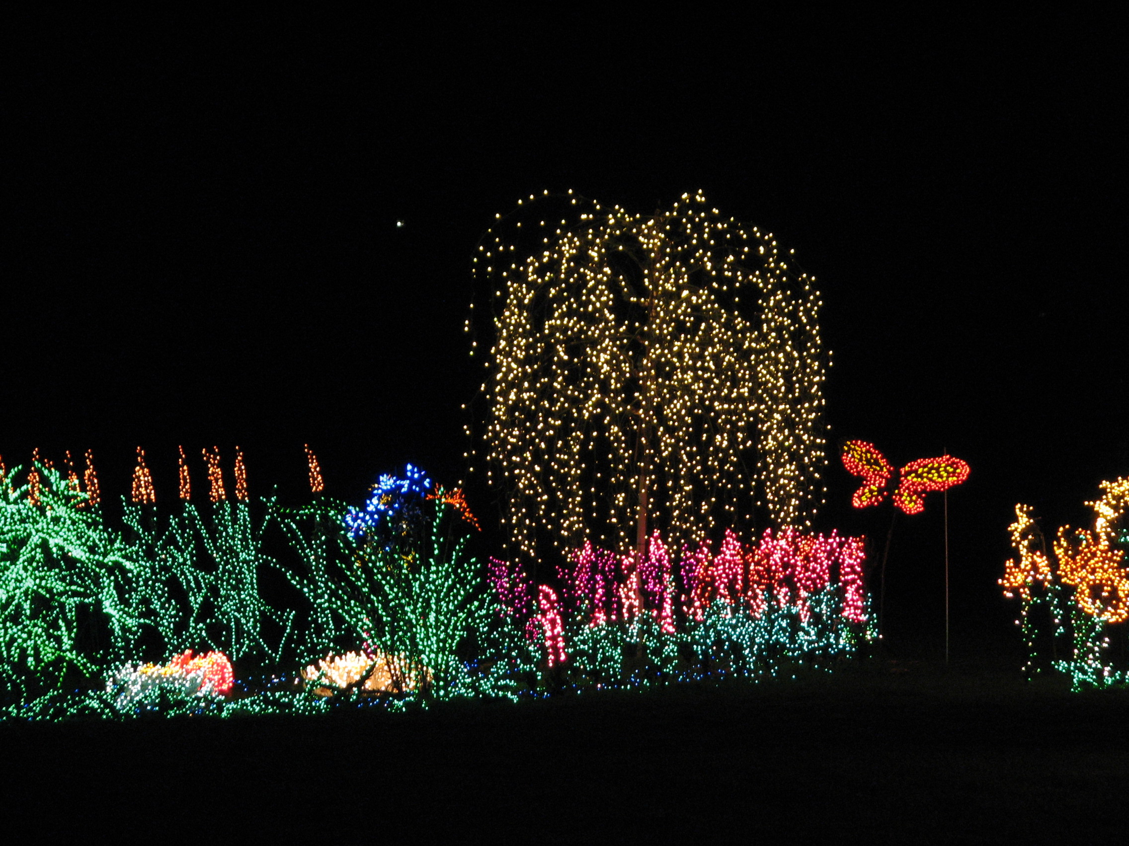 File Garden D Lights 2008 At The Bellevue Botanical Garden Img021