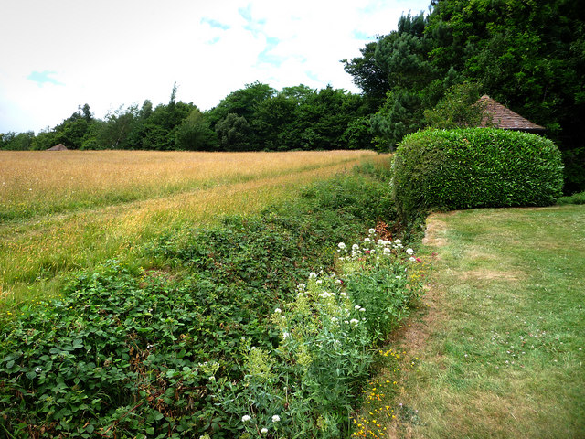 Ha Ha at Standen - geograph.org.uk - 1443024