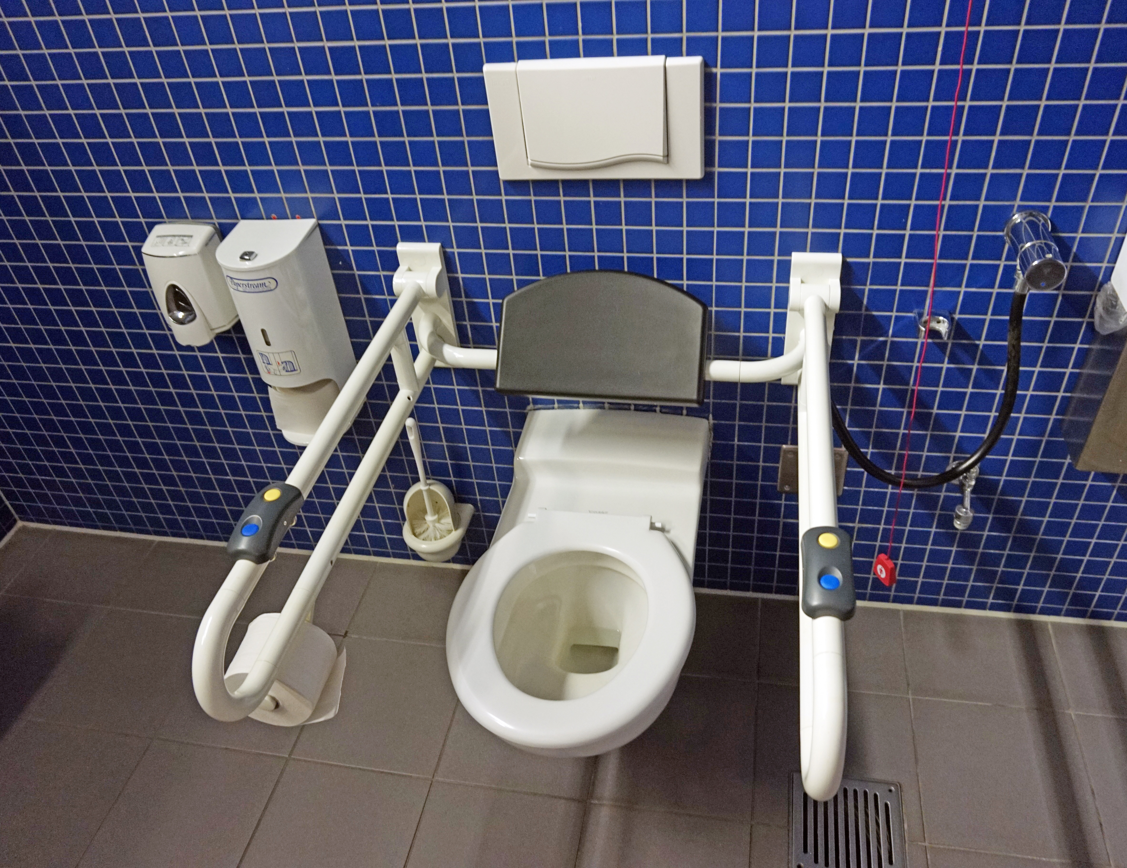 Accessible Toilet Wikipedia