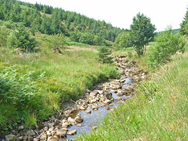 File:Kershope Burn, near Kershopehead - geograph.org.uk - 209056.jpg