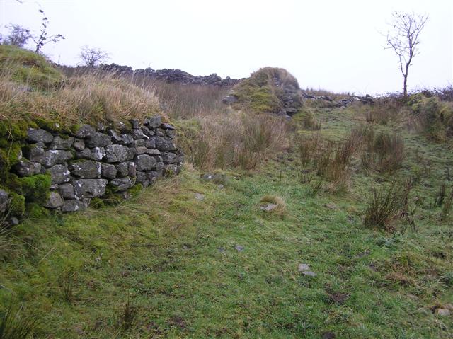 File:Legeelan Townland - geograph.org.uk - 1089560.jpg