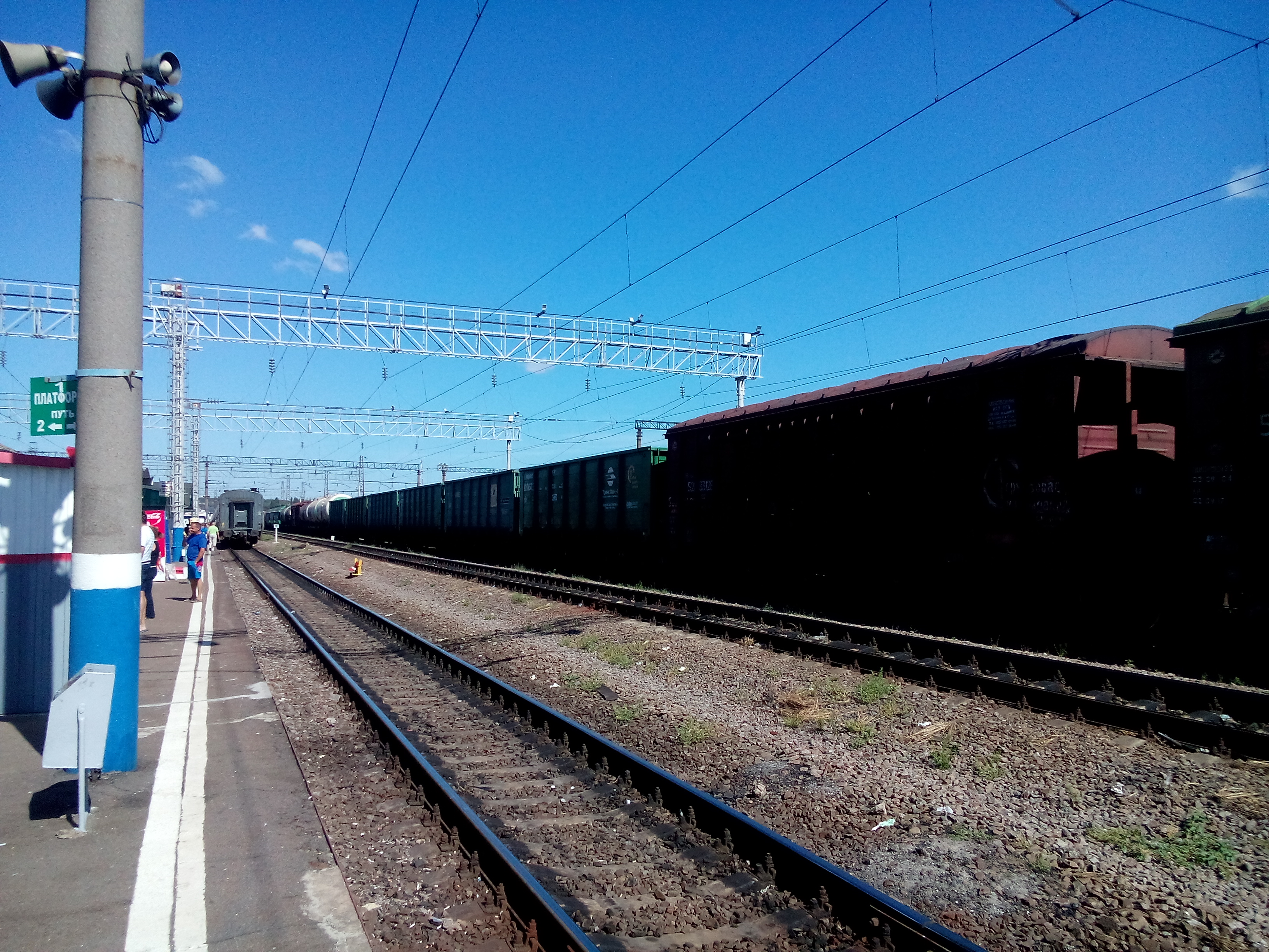 Погода в народном воронежской области