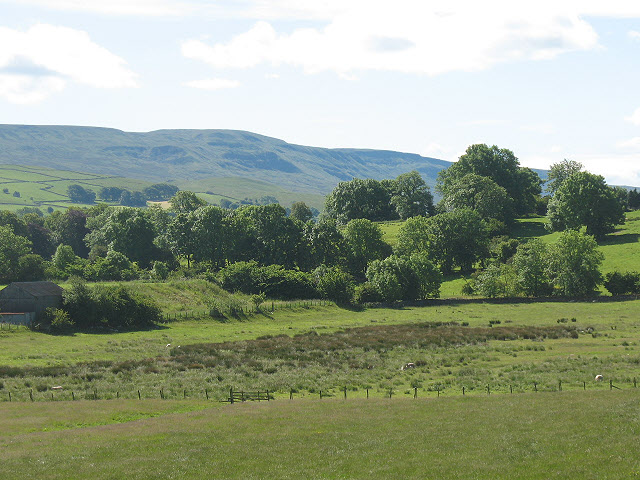 File:Marshy ground - geograph.org.uk - 1404670.jpg