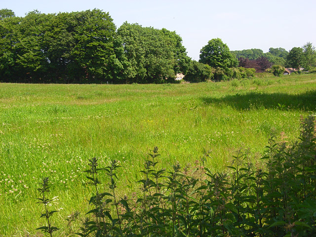 File:Meadow, Broadmayne - geograph.org.uk - 847806.jpg