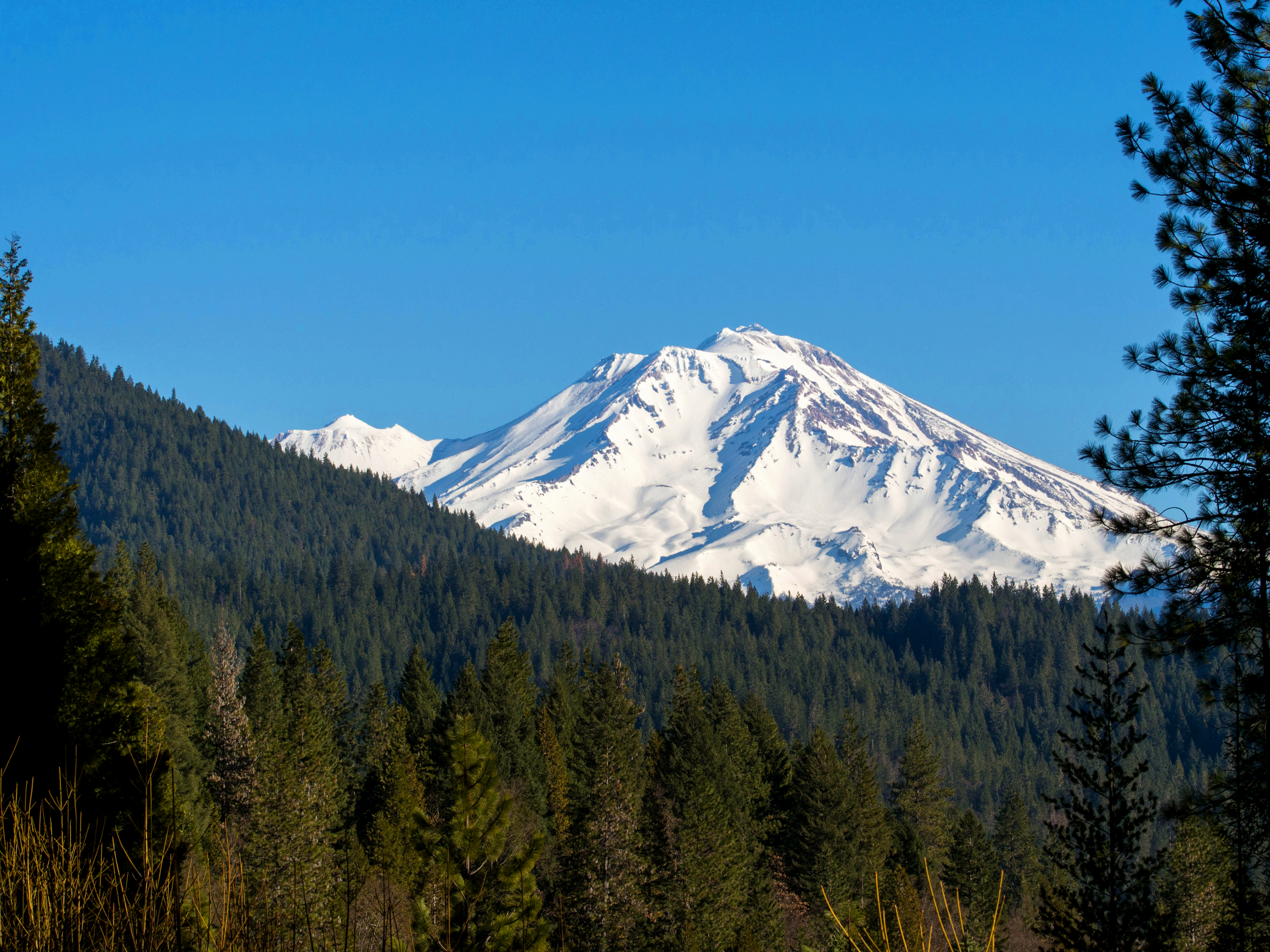 Craigslist mount shasta