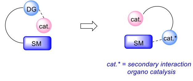 Catalysis - Wikipedia