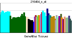 File:PBB GE GPR44 216464 x at tn.png