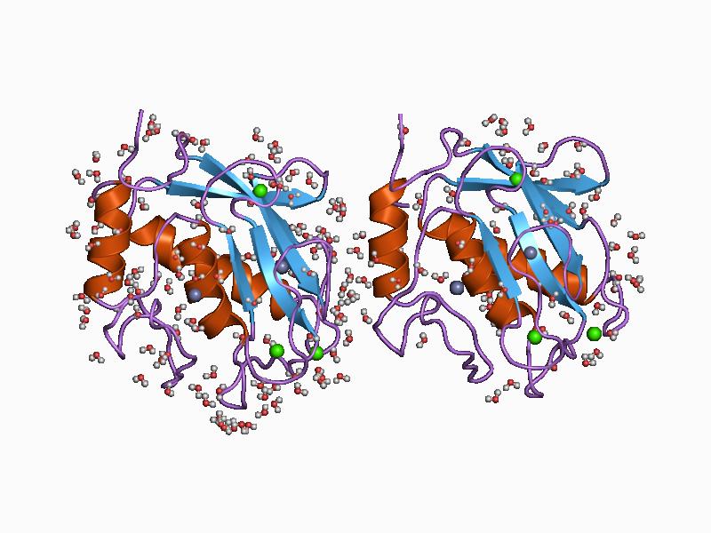 File:PDB 1cgf EBI.jpg