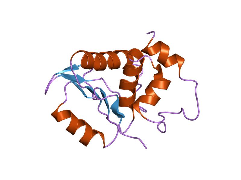 File:PDB 1m3g EBI.jpg